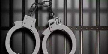 ഫാമുകളിൽ അടിമപ്പണി; ഇറ്റലിയിൽ രണ്ട് ഇന്ത്യക്കാർ അറസ്റ്റിൽ, 33 പേരെ മോചിപ്പിച്ചു