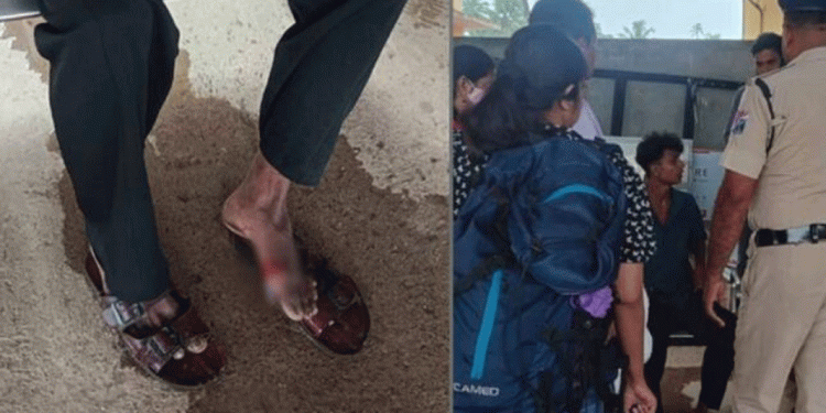 ആലപ്പുഴ റെയില്വെ സ്റ്റേഷനില് യുവാവിനെ തെരുവുനായ ആക്രമിച്ചു