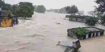 അസമിൽ പ്രളയം, കാസിരംഗയിൽ കൊല്ലപ്പെട്ടത് 6 കാണ്ടാമൃഗങ്ങൾ ഉൾപ്പെടെ 130 വന്യജീവികൾ