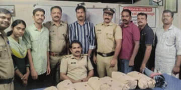 ചങ്ങനാശ്ശേരിയിൽ എക്സൈസിന്‍റെ വൻ കഞ്ചാവ് വേട്ട