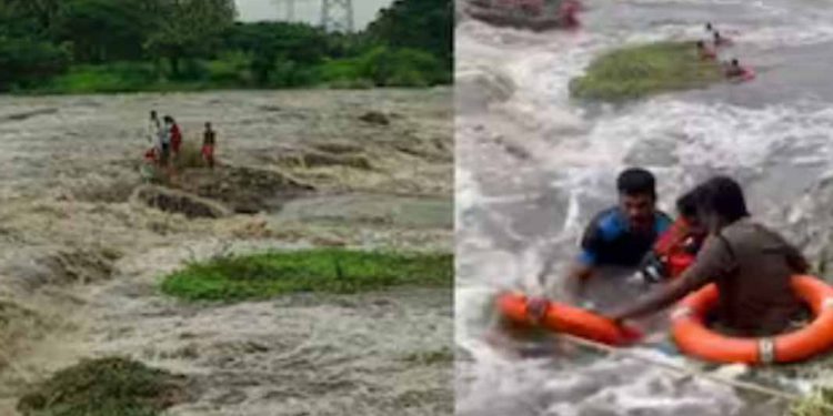 ചിറ്റൂര് പുഴയില് കുടുങ്ങിയ സ്ത്രീ ഉള്പ്പെടെയുള്ള നാലു പേരെയും ഫയര്ഫോഴ്സ് രക്ഷപെടുത്തി