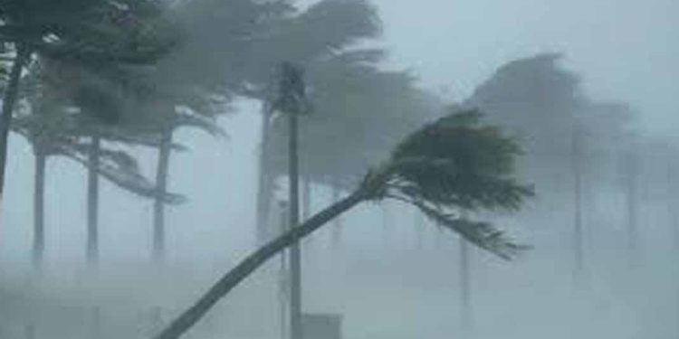 സംസ്ഥാനത്ത് മഴക്കെടുതിയിൽ 5 മരണം