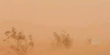 കുവൈത്തില്‍ കനത്ത ചൂടിനൊപ്പം പൊടിക്കാറ്റ്