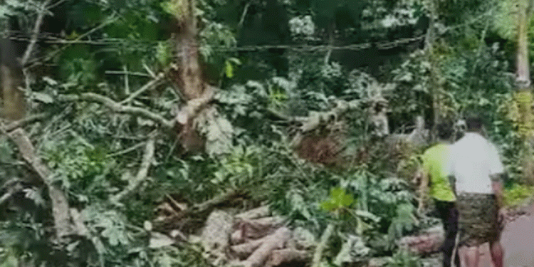 മലപ്പുറം ജില്ലയിലെ കരുവാരകുണ്ടിൽ ഇന്നലെയുണ്ടായ കനത്ത മഴയിലും കാറ്റിലും ലക്ഷങ്ങളുടെ നാശനഷ്ടം