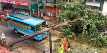 മലപ്പുറത്ത് ഓടുന്ന ബസിന് മുകളിൽ മരം വീണു