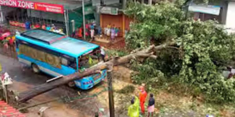 മലപ്പുറത്ത് ഓടുന്ന ബസിന് മുകളിൽ മരം വീണു