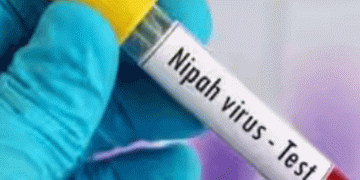 നിപ ; കേരളാ അതിര്‍ത്തിയിൽ തമിഴ്‌നാട് ആരോഗ്യവിഭാഗം പരിശോധന തുടങ്ങി