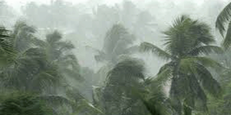 ഇന്നും നാളെയും ശക്തമായ മഴ തുടരും