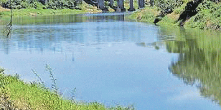 ചാലക്കുടി റെയിൽവെ പാലത്തിൽ ഒരാളെ ട്രെയിൻ തട്ടി, 3 പേർ പുഴയിൽ ചാടി