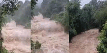 ചൂരൽമലയിൽ താലൂക്ക് ഐ.ആർഎസ് കൺട്രോൾ റൂം പ്രവർത്തനമാരംഭിച്ചു