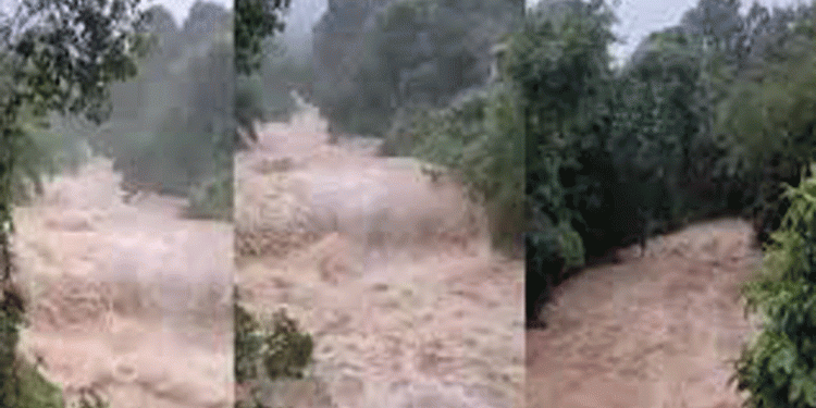 ചൂരൽമലയിൽ താലൂക്ക് ഐ.ആർഎസ് കൺട്രോൾ റൂം പ്രവർത്തനമാരംഭിച്ചു