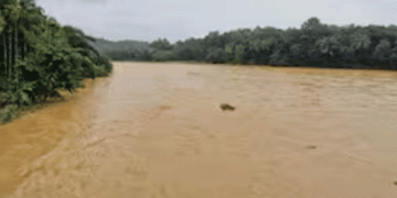 വയനാട് ഉരുൾപൊട്ടലിന് പിന്നാലെ ചാലിയാർ പുഴയിൽ നിന്ന് മാത്രം കിട്ടിയത് 10 മൃതദേഹങ്ങള്‍