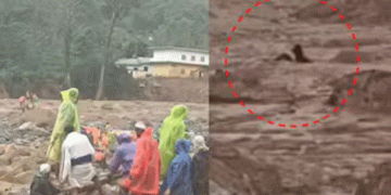 ഉരുള്‍പൊട്ടലിനെ തുടര്‍ന്ന് മണ്ണില്‍ കുടുങ്ങിയ ആളെ മണിക്കൂറുകള്‍ക്കുശേഷം അതിസാഹസികമായി രക്ഷപെടുത്തി