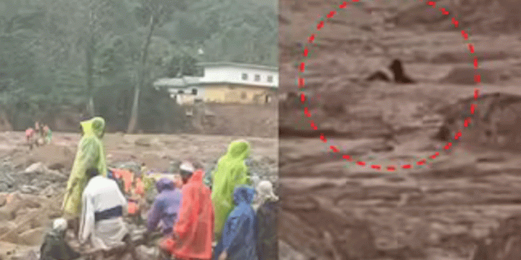 ഉരുള്പൊട്ടലിനെ തുടര്ന്ന് മണ്ണില് കുടുങ്ങിയ ആളെ മണിക്കൂറുകള്ക്കുശേഷം അതിസാഹസികമായി രക്ഷപെടുത്തി