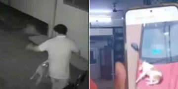 ഒരു മണിക്കൂറിൽ പേപ്പട്ടി കടിച്ചത് സ്ത്രീകളും കുട്ടികളുമടക്കം 17 പേരെ; സംഭവം ഗൊരഖ്പൂരിൽ