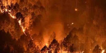 ഏഥൻസിൽ കാട്ടുതീ പടരുന്നു, മാറ്റിപ്പാർപ്പിച്ചത് ആയിരങ്ങളെ, കൊടും ചൂടിൽ സഹായമെത്തിക്കാൻ യൂറോപ്യൻ രാജ്യങ്ങൾ