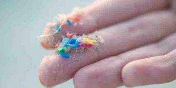 ഇന്ത്യന്‍ ഉപ്പ്, പഞ്ചസാര ബ്രാന്‍ഡുകളില്‍ മൈക്രോ പ്ലാസ്റ്റിക്കിന്‍റെ അംശം കൂടുതലെന്ന് പഠനം