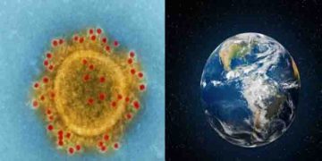 ഭൂമിയിലെ മുഴുവൻ ജീവികളുടെയും പൊതുപൂർവികൻ, ലൂക്കയുടെ പ്രായം ഇതുവരെ കരുതിയതിനേക്കാൾ വളരെ കൂടുതലെന്ന് പഠനം