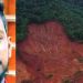 അര്ജുൻ മിഷൻ; തുടക്കം മുതൽ വിവരങ്ങൾ കൈമാറുന്നതിൽ വീഴ്ചയുണ്ടായി, ലോറി കണ്ടെടുക്കാനാകുമെന്ന് പ്രതീക്ഷ: ജിതിൻ