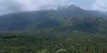 നേപ്പാളിൽ 10 മണിക്കൂർ കാട്ടിൽ കുടുങ്ങിയ മൂന്ന് ഇന്ത്യക്കാരെ രക്ഷപ്പെടുത്തി