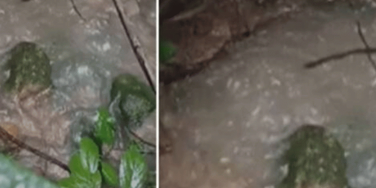 ബാലുശ്ശേരിയിൽ മലവെള്ളം ഭൂമിയിലേക്ക് വലിയ ശബ്ദത്തോടെ ഒലിച്ചിറങ്ങുന്നതായി നാട്ടുകാര്