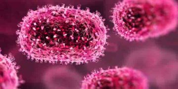 ദില്ലിയിൽ 3 ആശുപത്രികളിൽ പ്രത്യേക സജ്ജീകരണം, ലാബുകളും സജ്ജം; എം പോക്സ് പ്രതിരോധം, സംസ്ഥാനങ്ങൾക്ക് നിർദ്ദേശം