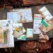 വയനാട് ദുരന്തം; രേഖകള് നഷ്ടപ്പെട്ടവര്ക്കായി ഇന്ന് പ്രത്യേക അദാലത്ത്, 12 കൗണ്ടറുകള് പ്രവര്ത്തിക്കും