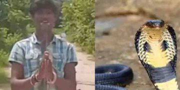 മൂർഖൻ പാമ്പിനെ പിടികൂടി വായ്ക്കകത്താക്കി ഷോ, എല്ലാം ഒരു നിമിഷം കൊണ്ടവസാനിച്ചു, കടിയേറ്റ 21കാരന് ദാരുണാന്ത്യം