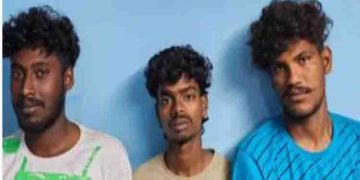 അതീവ രഹസ്യമായി കാട്ടുവഴികളിലൂടെ കേരളത്തിലേക്ക് വന്ന 3 പേ‌ർ, സഹായത്തിന് ഒരു മലയാളി; പിടിച്ചെടുത്തത് കഞ്ചാവ്