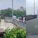 വീശിയടിച്ച കൊടുങ്കാറ്റിൽ നിരവധി വാഹനങ്ങളുണ്ടായിരുന്ന പാലം നദിയിലേക്ക് പതിച്ചു, ഡാഷ് ക്യാമറ വീഡിയോ