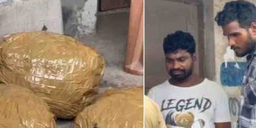 എല്ലാം വളരെ രഹസ്യം, ഒറീസയിൽ നിന്നും വന്ന ടൂറിസ്റ്റ് ബസ്; പൊക്കിയത് പെരുമ്പാവൂരിൽ, പിടിച്ചത് 10 കിലോ കഞ്ചാവ്