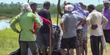 വലിയ പാവകളിൽ കുട്ടികളുടെ മൂത്രം തളിച്ച് ആകർഷിക്കാൻ ശ്രമം; നരഭോജി ചെന്നായകളെ പിടികൂടാൻ പലവഴികൾ പയറ്റി യുപി