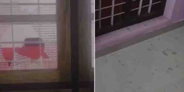 കൊല്ലം മുഖത്തലയിൽ സിപിഐ ഓഫീസ് ആക്രമിച്ച കേസ്; 3 ഡിവൈഎഫ്ഐ, എസ്എഫ്ഐ നേതാക്കൾ അറസ്റ്റിൽ