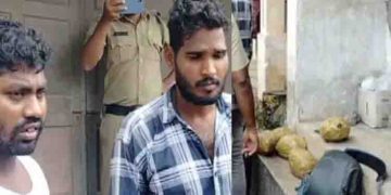 കളമശ്ശേരിയിൽ ട്രെയിനിറങ്ങി, വിൽപ്പനയ്ക്കായി നിൽക്കവേ പിടിവീണു; 5 കിലോ കഞ്ചാവുമായി ഒഡീഷ സ്വദേശികൾ അറസ്റ്റിൽ