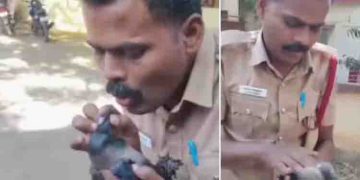 ‘പറന്ന് കയറിയത് ട്രാൻസ്ഫോമറിൽ, ഷോക്കടിച്ച് താഴേയ്ക്ക്’, കാക്കയ്ക്ക് രക്ഷകരായി അഗ്നിരക്ഷാ സേന