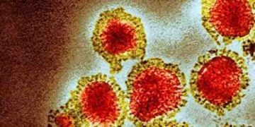 കാസർകോട് അഞ്ച് വിദ്യാർത്ഥികൾക്ക് എച്ച്3എൻ2, എച്ച്1എൻ1 രോഗബാധ സ്ഥിരീകരിച്ചു; ആശുപത്രിയിൽ പ്രവേശിപ്പിച്ചു