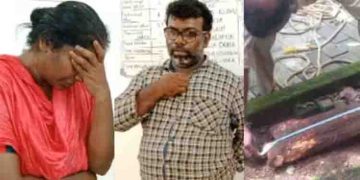 മഴയുള്ള രാത്രി വീട്ടുകാരറിയാതെ ചന്ദന മരങ്ങൾ മുറിച്ച് കടത്തി; ഇടനിലക്കാരി അജിത ഭായിയും കൂട്ടാളിയും പിടിയിൽ