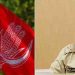 ‘രാഷ്ട്രീയ നയത്തിൽ നിന്ന് ഇടത് നേതൃത്വം വ്യതിചലിക്കരുത്’; എഡിജിപി അജിത് കുമാറിനെ മാറ്റണമെന്ന് വീണ്ടും സിപിഐ