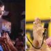 കെജ്രിവാളിന്റെ തീരുമാനം അംഗീകരിച്ച് എഎപി, രാജി നാളെ; പകരം സുനിത കെജ്രിവാൾ മുഖ്യമന്ത്രി ആകുമോ? ചർച്ചകൾ സജീവം