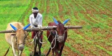 കർഷകരുടെ ബാങ്ക് അക്കൗണ്ടിൽ ഉടൻ പണമെത്തും; പിഎം കിസാൻ യോജനയുടെ 18-ാം ഗഡു ഈ ആഴ്ച