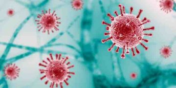 കൊവിഡിന്റെ പുതിയ വകഭേദം പടരുന്നു ; എന്താണ് ‘എക്‌സ്ഇസി’? ലക്ഷണങ്ങൾ അറിയാം