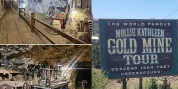 സ്വർണ ഖനിയിൽ 1000 അടി താഴ്ചയിൽ കുടുങ്ങി 12 വിനോദസഞ്ചാരികൾ, ഒരു മരണം; അപകടമുണ്ടായത് ലിഫ്റ്റ് തകരാറിലായതോടെ