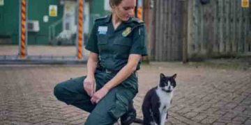 16 വർഷം താമസിച്ചത് ആംബുലന്‍സ് സ്റ്റേഷനിൽ, പ്രിയപ്പെട്ട പൂച്ചയ്ക്ക് കുടിയിറക്ക് ഭീഷണി, ഒടുവിൽ ഇടപെട്ട് എംപിയും