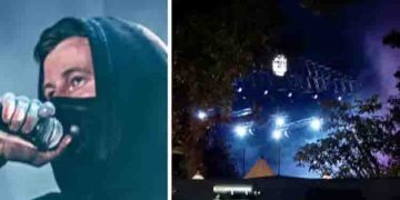 അലൻവാക്കറുടെ പരിപാടിക്കിടെ അടിച്ച് മാറ്റിയ ഫോണുകൾ ദില്ലിയിലെ ചോർ ബസാറിൽ