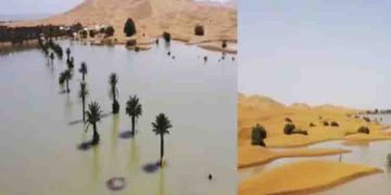 പെരുമഴ, സഹാറ മരുഭൂമിയിലെ തടാകങ്ങളിൽ വെള്ളം, പച്ചപ്പ്, ഇതെന്തിനുള്ള സൂചന?