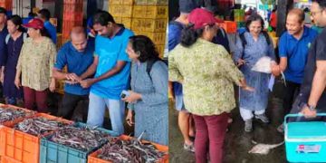 പാമ്പാട, ഉണ്ണിമേരി മുതൽ കടൽമാക്രി വരെ; കടലറിവുകൾ തേടി ഫിഷ് വോക്, സംഘടിപ്പിച്ചത് സമുദ്രമത്സ്യ ഗവേഷണ സ്ഥാപനം