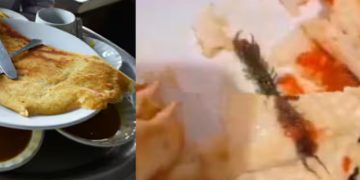 മസാല ദോശയിൽ ചത്ത പഴുതാര, പരാതിപ്പെട്ടിട്ടും അനക്കമില്ല, ഗുരുവായൂരിലെ ഇന്ത്യൻ കോഫി ഹൗസിനെതിരെ നടപടി