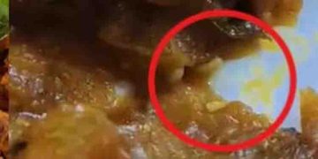 ദമ്പതിമാർ ഹോട്ടലിൽ കയറി കപ്പ ബിരിയാണി ഓർഡർ ചെയ്തു, കഴിക്കുമ്പോൾ കിട്ടിയത് ജീവനുള്ള പുഴു; സംഭവം കട്ടപ്പനയിൽ