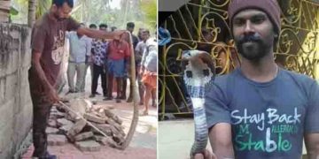 പൊന്മുടിയിൽ മൂർഖനെ തുറന്നുവിടാൻ ബാഗ് തുറന്നപ്പോൾ കടിയേറ്റു; ചികിത്സയിലായിരുന്ന ‘സർപ്പ’ വൊളന്‍റിയർ മരിച്ചു