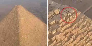 മനുഷ്യൻപോലും കയറിച്ചെല്ലാത്ത  കൂറ്റൻ പിരിമിഡിന് മുകളിലൊരു നായ